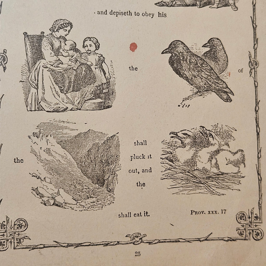 Antique 'Bible in Symbols' Framed Print